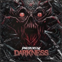 Darkness - Single - PROTOCOL