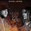 Cole Swindell & Lainey Wilson - Never Say Never  artwork