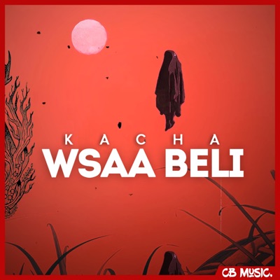 Wsaa Beli (feat. Barako) - Single