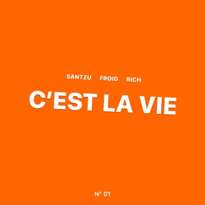 C'est La Vie - Single