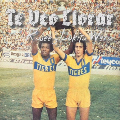 Te Veo Llorar (feat. Lokito Wero) - Single