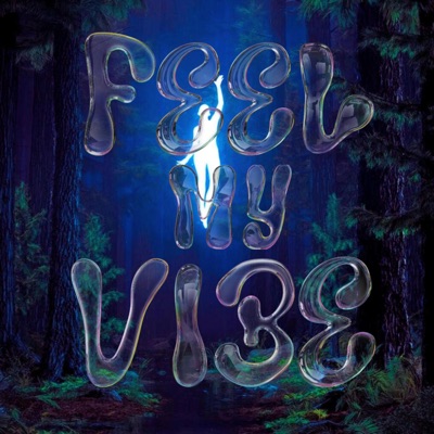 Feel My Vibe - Single