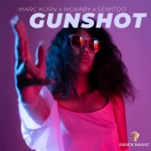 Gunshot (Extended Mix) artwork