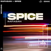 Spice (Extended Mix) artwork
