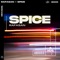Spice (Extended Mix) artwork