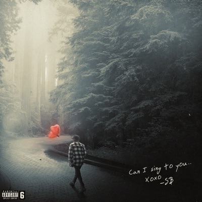 Can I Sing To You.. - EP