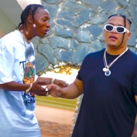 Esa Mujer Ta’ To’ (feat. Jayden El Antidema) - Single - El Perla MM