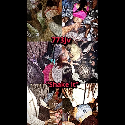 Shake It - Single