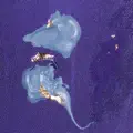 Double Life