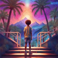 Levels & Views - Single - Surf Wreck