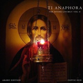 Liturgy of St. Gregory (Arabic-Coptic Tune) (feat. Fr. Youannes Khalil) artwork