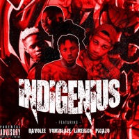 Indigenius - Single - Davolee