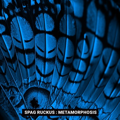Metamorphosis - Single