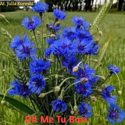 Julla Kureshi - Dil Me Tu Basi