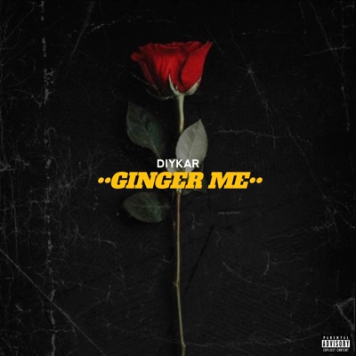 Ginger me - Single