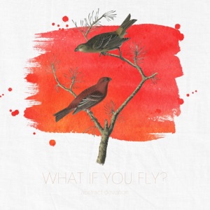 What If You Fly?