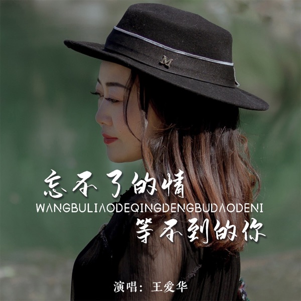 忘不了的情等不到的你 - EP
