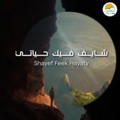 Shayef Feek Hayaty  شايف فيك حياتي artwork