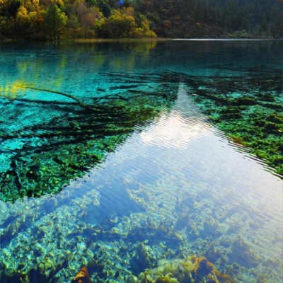 Siman rone - تراني