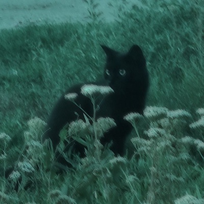 Artista Desconocido - Single