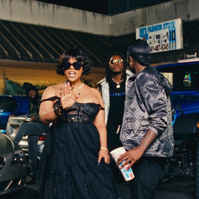 NPDAF (feat. WD Traka) - Single