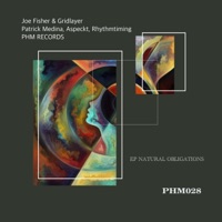 Natural Obligations (Aspeckt Remix) - Single - Joe Fisher & Gridlayer