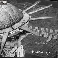 NuManji (feat. Aceospades) - Single - Shady Saint