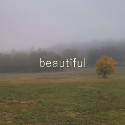 BEAUTIFUL - Single