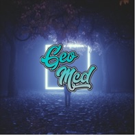 Cant Make a Wife Out of a Hoe - Single - Geo Mcd