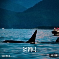 Sky Whale - Single - Chuck Mullen