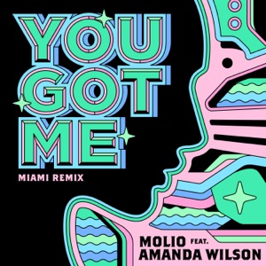 You Got Me (Miami Remix) [feat. Amanda Wilson] - Single