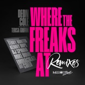 Where the Freaks At (Terry Hunter Freaky A** Dubstramental) artwork