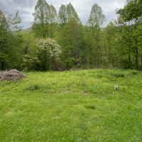 Eyes (feat. Sarah Cleary) - Single - Lil peajgh