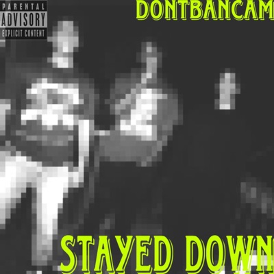 Stayed Down - Single