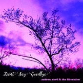 andrew reed & the liberation - Don't Say Goodbye