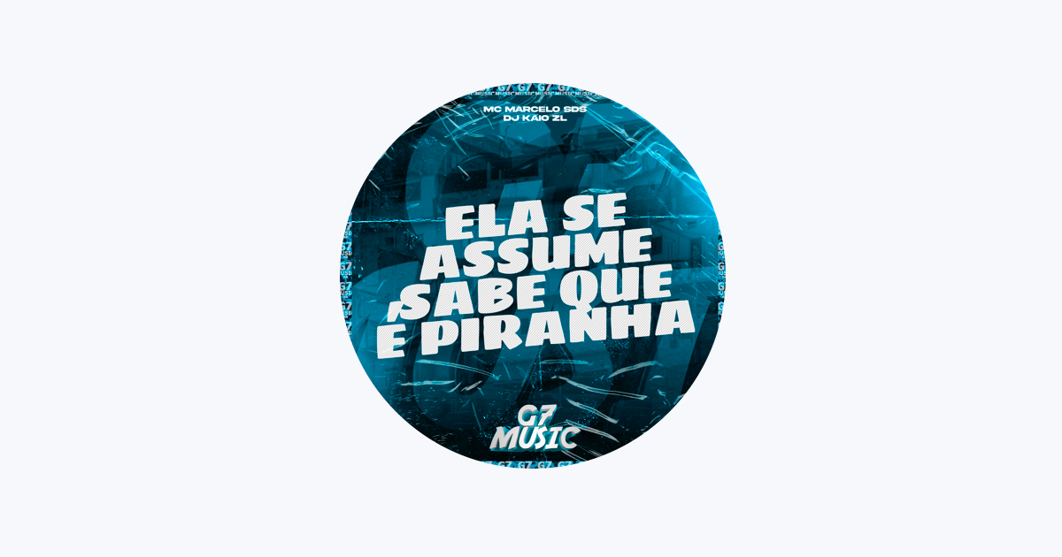 DJ FEITICEIRO MESTRE DAS MAGIAS — Apple Music