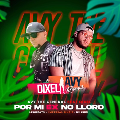 Por mi ex no lloro (feat. Dixel el mas completo) [Remix] - Single