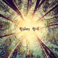 Wishing Well - Single - Nils Wandrey
