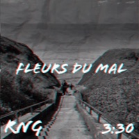 Fleurs du mal - Single - RnG