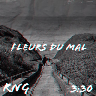 Fleurs du mal - Single