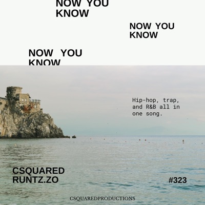 Now You Know (feat. Runtz.Zo) - Single