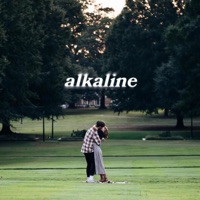Album cover for Alkaline by Zion Goins