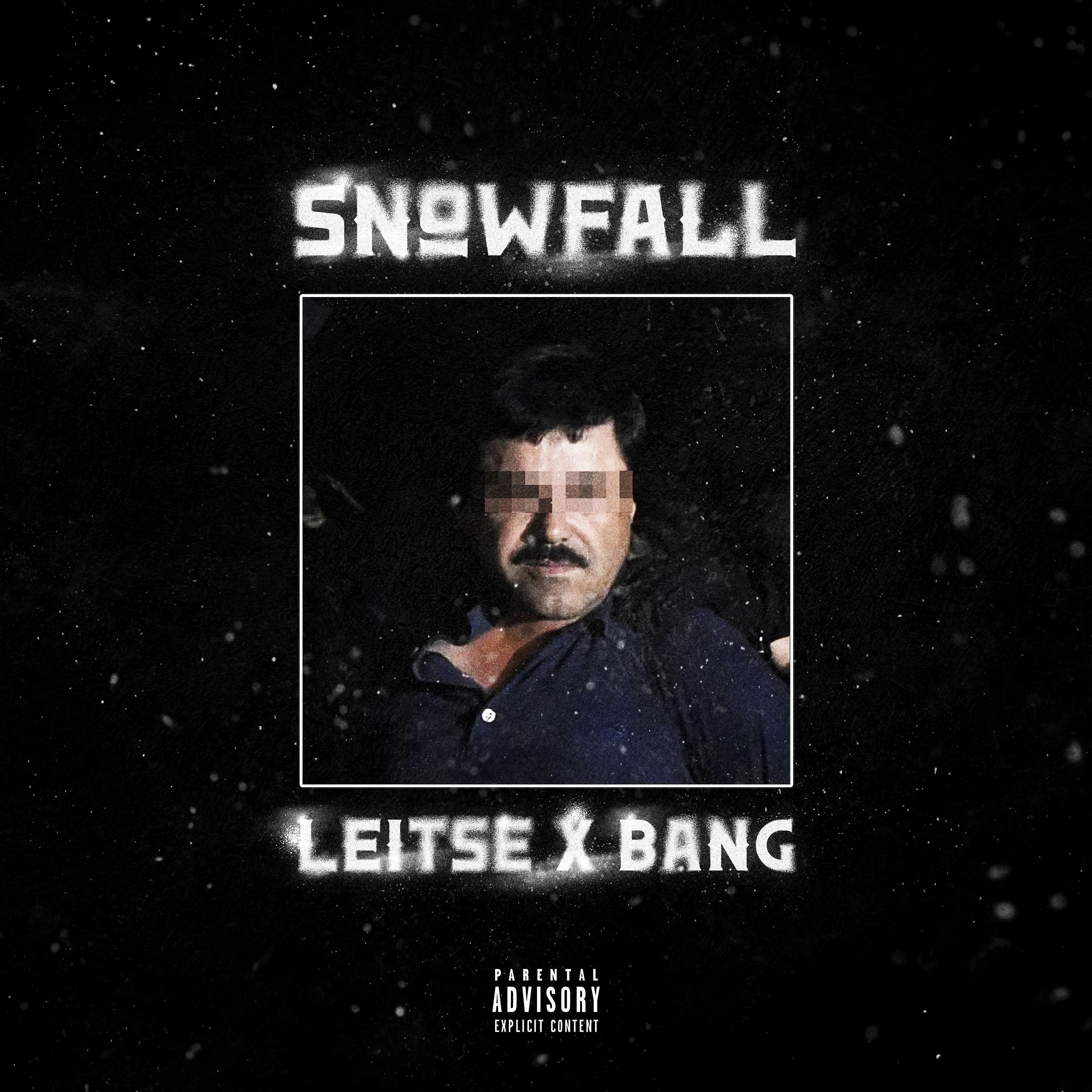 SNOWFALL (feat. Leitse) - Single by BANG album cover