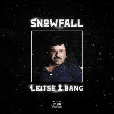 SNOWFALL (feat. Leitse) - Single