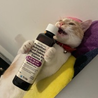 Nomoreleann (feat. SCOTTY Rx) - Single - BdonPlus