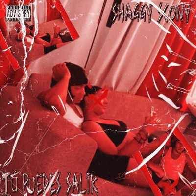 Tu Puede Salir (feat. Kroesebeats) - Single