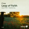 Leap of Faith - Single