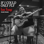 If I Could Only Fly (Acoustic Sessions) artwork