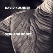 Skin and Bones artwork