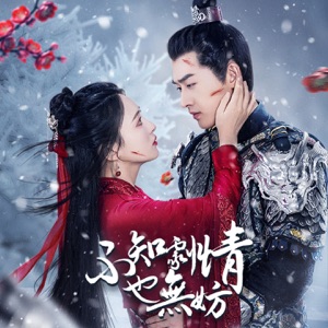 不知剧情也无妨 - Single